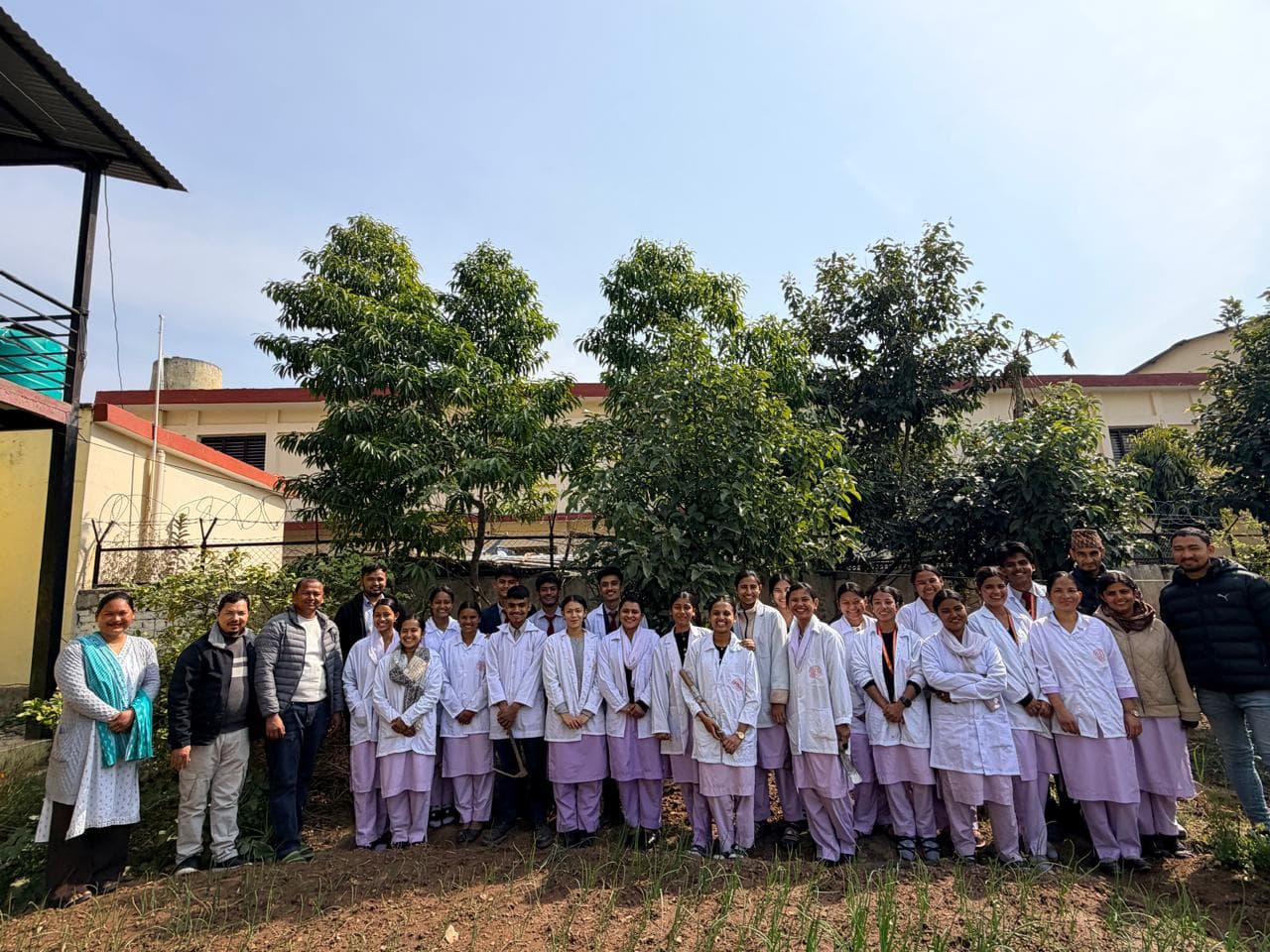 डिप्लोमा ईन फार्मेसी